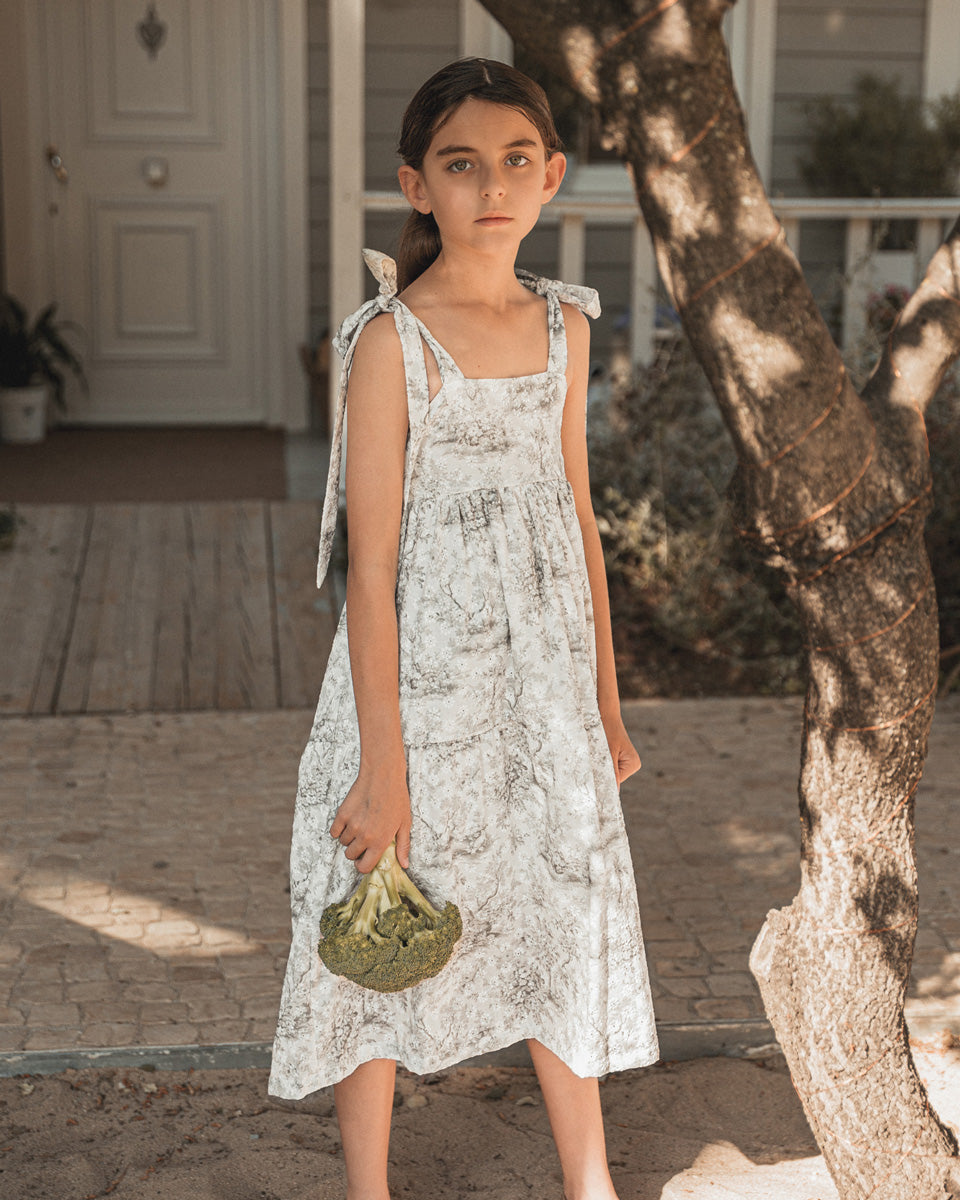 Vestido batistas bordada Toile de Jouy Cosmosophie