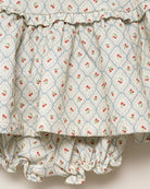 Ranita bebe estamapdo cerezas